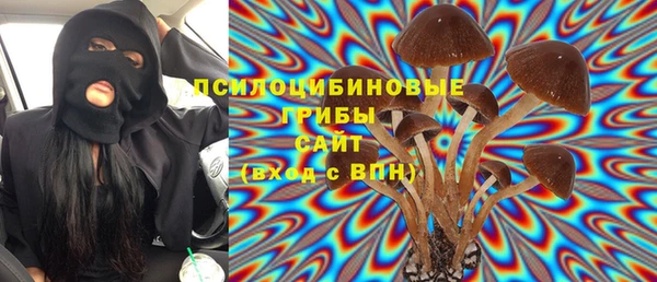 прущие грибы Абинск