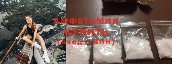 прущие грибы Абинск