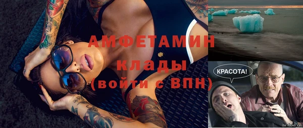 прущие грибы Абинск