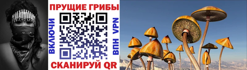 Псилоцибиновые грибы мухоморы  цена наркотик  Устюжна 
