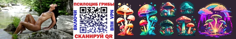Псилоцибиновые грибы GOLDEN TEACHER Устюжна